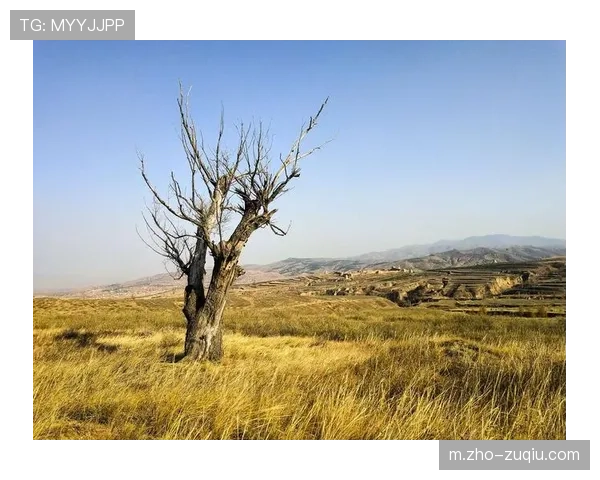白堡神锋势如破竹 里昂连败后力求重振雄风 白堡神锋势如破竹 里昂连败后力求重振雄风